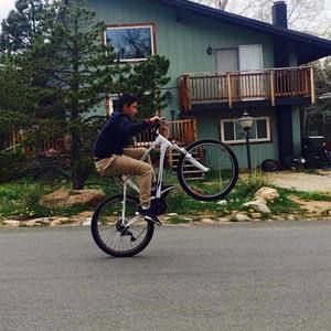 Meet your Posher, Max